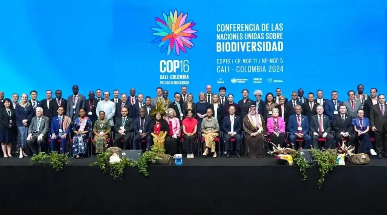 Las negociaciones de la COP16 sobre Biodiversidad inacabadas en Cali se retomarán en Roma